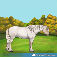 Horse Color:Liver Red Roan Snowdrop Pearl 