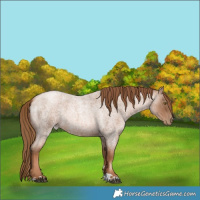 Horse Color:Liver Red Roan Pearl