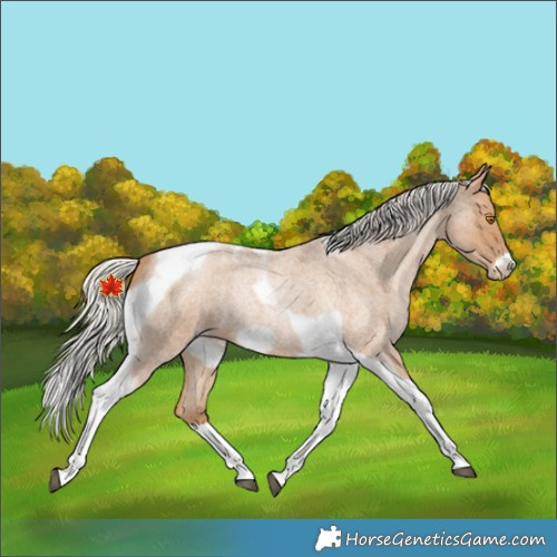 Horse Color:Silver Blue Roan Pearl Tobiano Frame