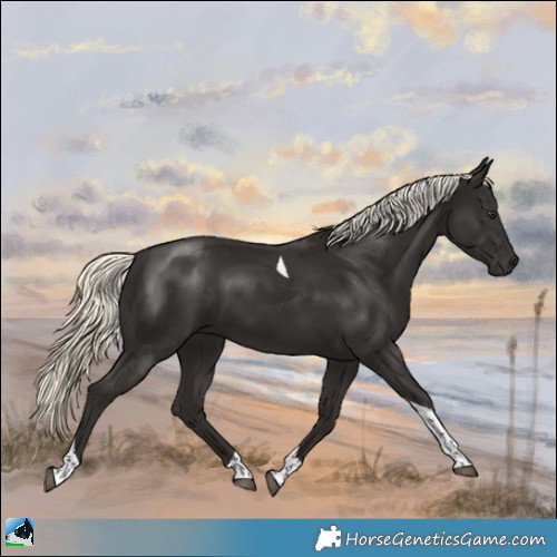 Horse Color:Liver Chestnut Mushroom Tobiano 