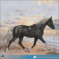 Horse Color:Liver Chestnut Mushroom Tobiano 