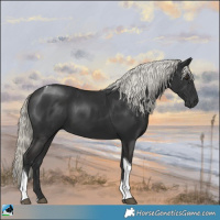 Horse Color:Liver Chestnut Mushroom Tobiano 