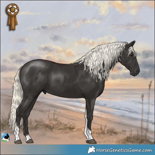 Horse Color:Liver Chestnut Mushroom Tobiano Rabicano 