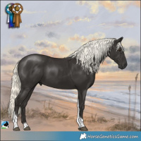 Horse Color:Liver Chestnut Mushroom Tobiano Rabicano