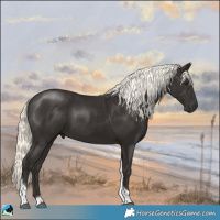 Horse Color:Liver Chestnut Mushroom Tobiano Rabicano