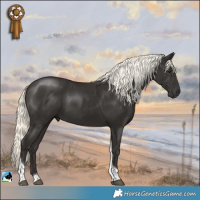 Horse Color:Liver Chestnut Mushroom Tobiano Rabicano