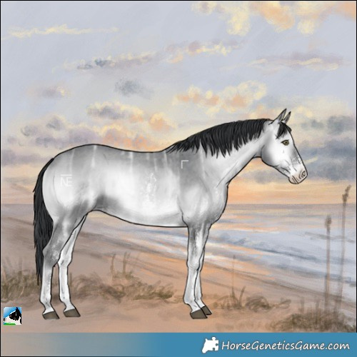 Horse Color:Brown Chinchilla Ice Onyx Sabino