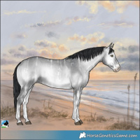 Horse Color:Brown Chinchilla Ice Onyx Sabino
