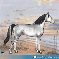 Horse Color:Brown Chinchilla Ice Onyx Sabino 