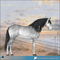 Horse Color:Brown Chinchilla Ice Onyx Sabino