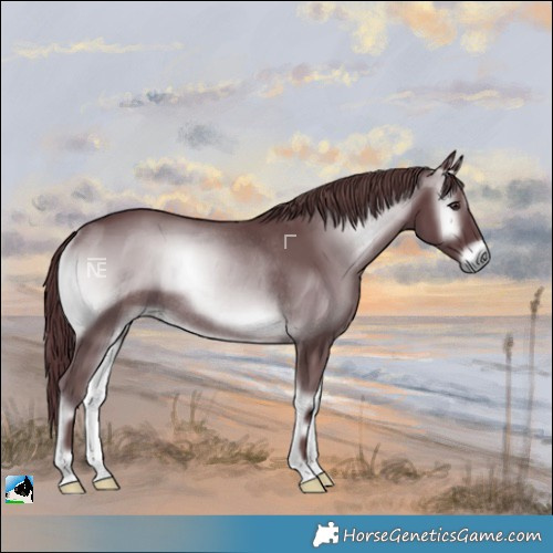 Horse Color:Chocolate Blue Onyx Chinchilla Rabicano