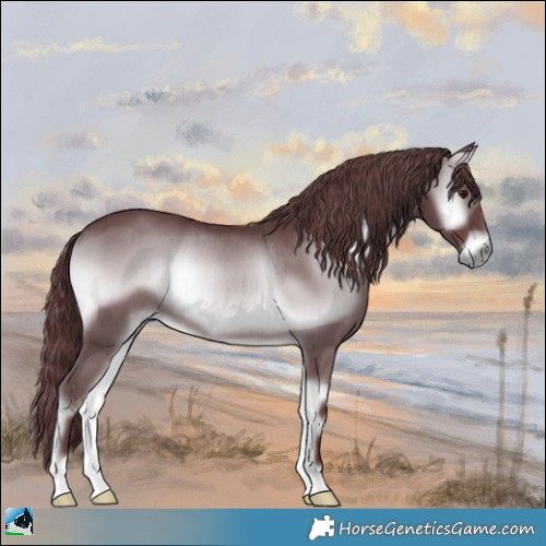 Horse Color:Chocolate Blue Onyx Chinchilla Rabicano 