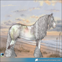 Horse Color:White Spotted Chocolate Silver Brown Chinchilla Sabino Rabicano 