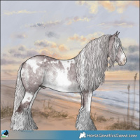 Horse Color:White Spotted Chocolate Silver Brown Chinchilla Sabino Rabicano 