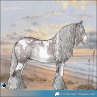 Horse Color:White Spotted Chocolate Silver Brown Chinchilla Sabino Rabicano 