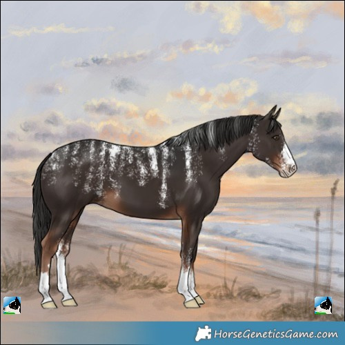 Horse Color:Powder White Liver Chestnut