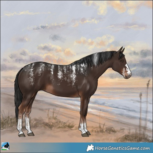 Horse Color:Powder White Liver Chestnut 