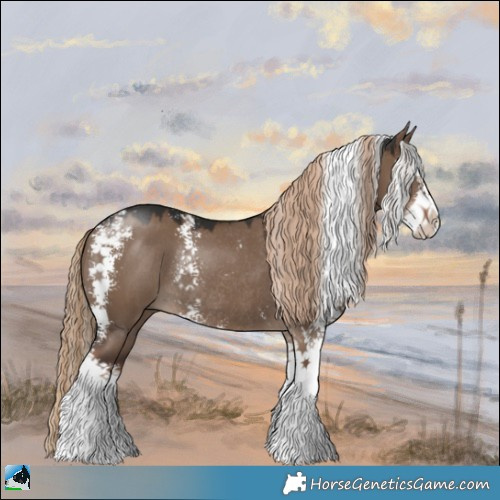 Horse Color:Liver Red Dun Sabino Splash Rabicano