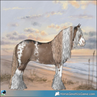 Horse Color:Liver Red Dun Sabino Splash Rabicano
