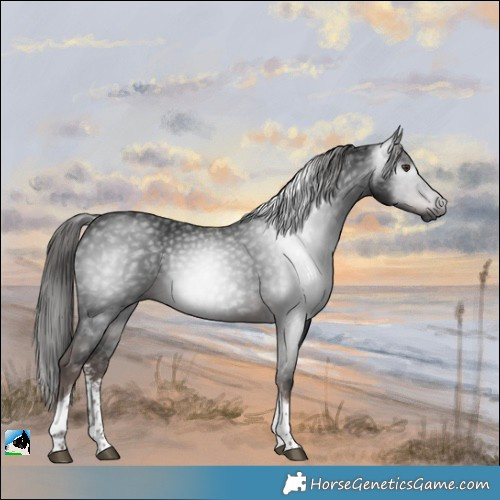 Horse Color:Gray Platinum Liver Chestnut Sabino Tobiano