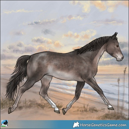 Horse Color:Platinum Liver Chestnut Sabino Rabicano 