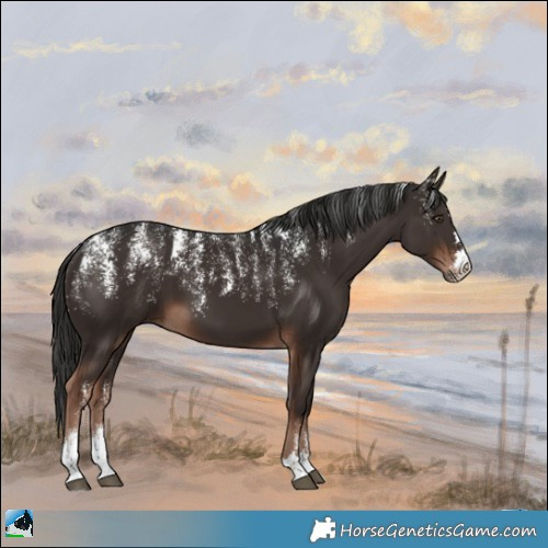 Horse Color:Powder White Liver Chestnut 