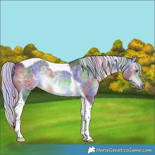 Horse Color:Nacre Silver Brown Chinchilla Tobiano 