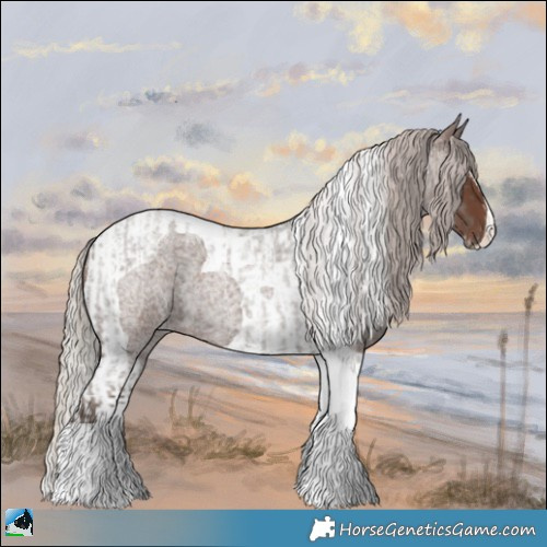 Horse Color:Silver Blue Roan Splash Tobiano and Silver Blue Roan Tobiano