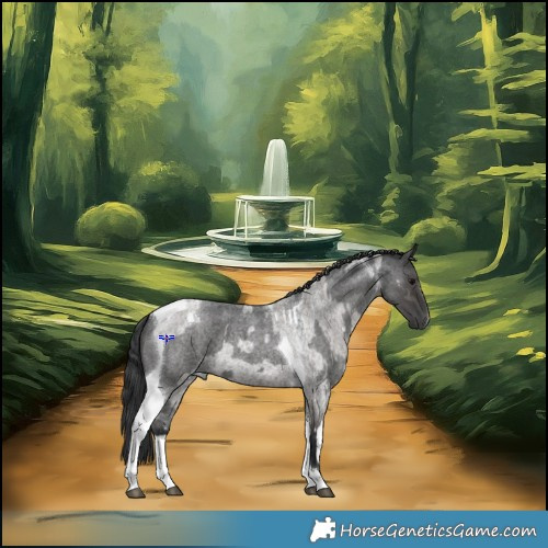 Horse Color:Grullo Roan Tobiano  and Blue Roan Tobiano 