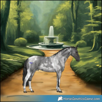 Horse Color:Grullo Roan Tobiano  and Blue Roan Tobiano 