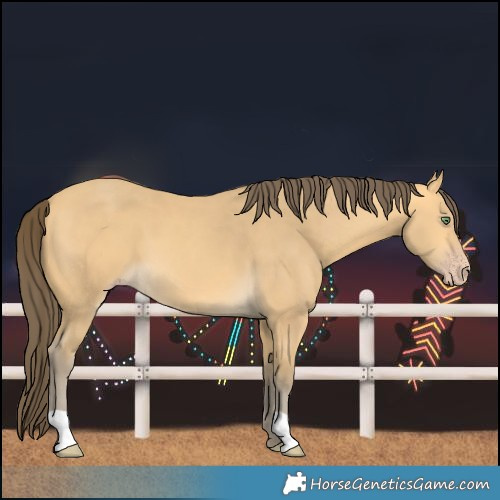 Horse Color:Amber Cream Champagne 