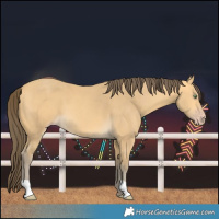 Horse Color:Amber Cream Champagne 