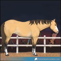 Horse Color:Buckskin Dun Rabicano 
