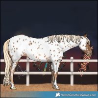Horse Color:Chocolate Palomino Near Leopard 