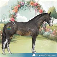 Horse Color:Buckskin Sabino Varnish