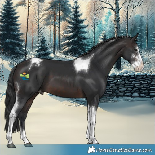 Horse Color:Brown Sabino Tobiano Varnish 