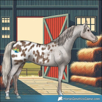 Horse Color:Liver Red Dun Blanket Brindle