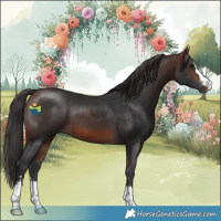 Horse Color:Brown 
