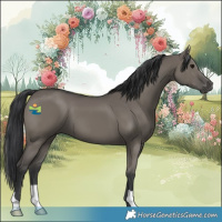 Horse Color:Grullo 
