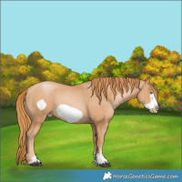 Horse Color:Chestnut Pearl Frame