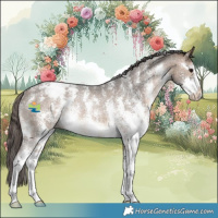 Horse Color:Brown Dun Sabino Appaloosa Rabicano 