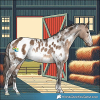 Horse Color:White Spotted Bay Dun Appaloosa Rabicano 