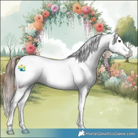 Horse Color:Bay Dun Sabino Appaloosa 