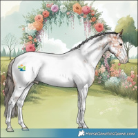 Horse Color:White Spotted Bay Sabino Appaloosa 