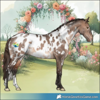 Horse Color:White Spotted Brown Dun Mushroom Appaloosa Rabicano