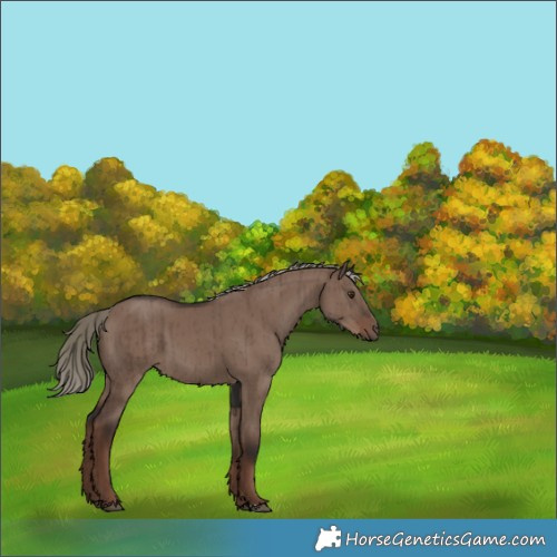 Horse Color:Liver Red Dun Mushroom Brindle 