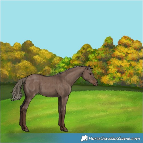 Horse Color:Liver Red Dun Mushroom Brindle 