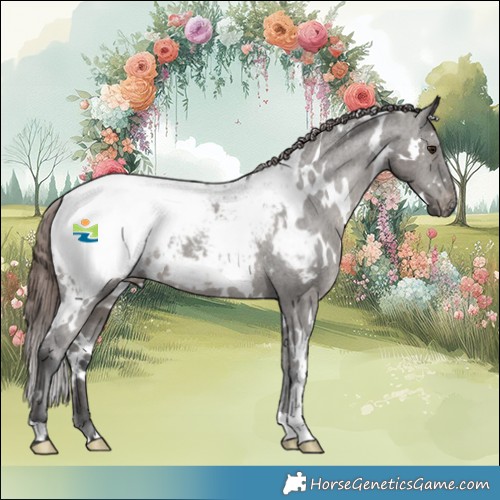 Horse Color:White Spotted Grullo Mushroom Snowcap 