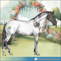 Horse Color:White Spotted Grullo Appaloosa Rabicano 