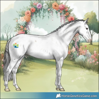 Horse Color:Bay Sabino Appaloosa Rabicano 